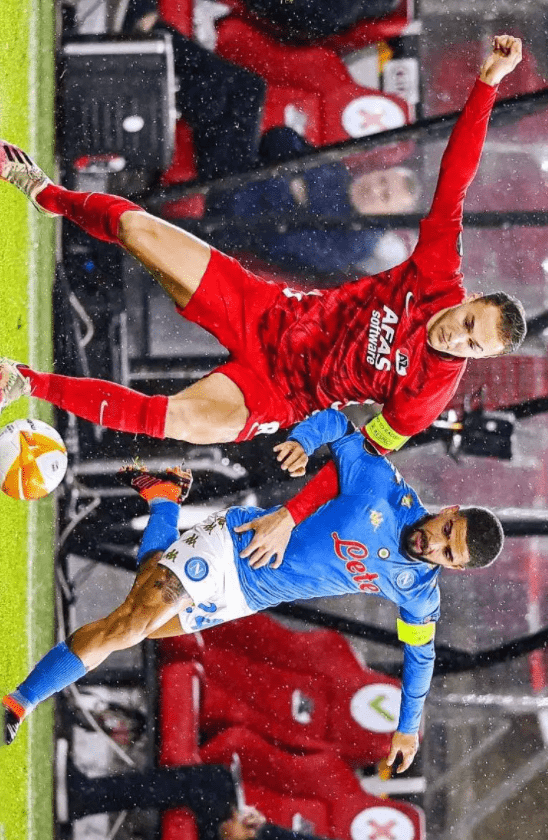 和高水平的 和高水平的