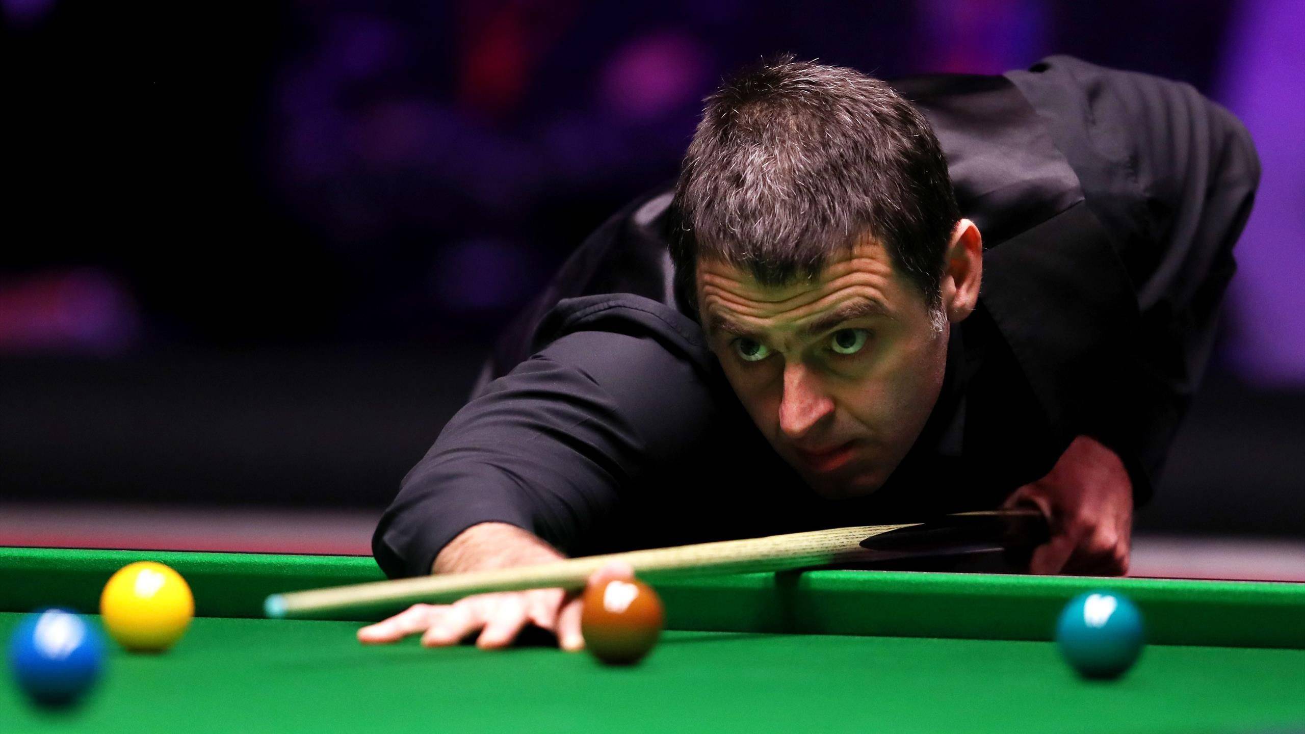 员证明自己 员证明自己