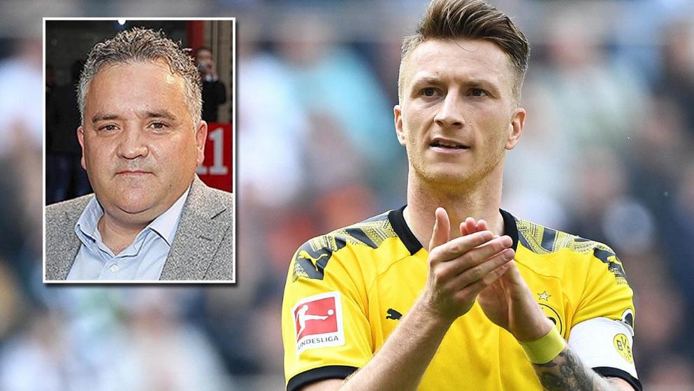 而新引进的 而新引进的